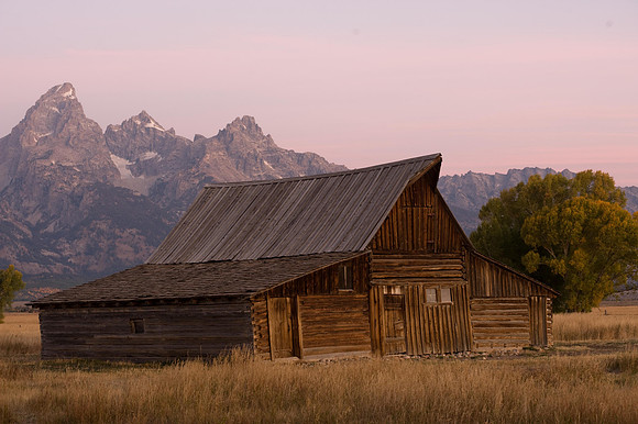 Wyoming 2008-524