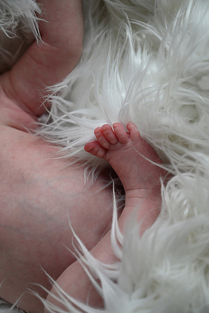 KFP_3175
