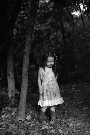 KF1_3554