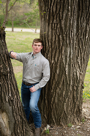KF1_9687