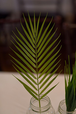 KF3_9675