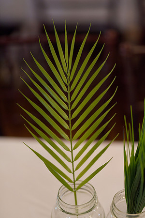 KF3_9675