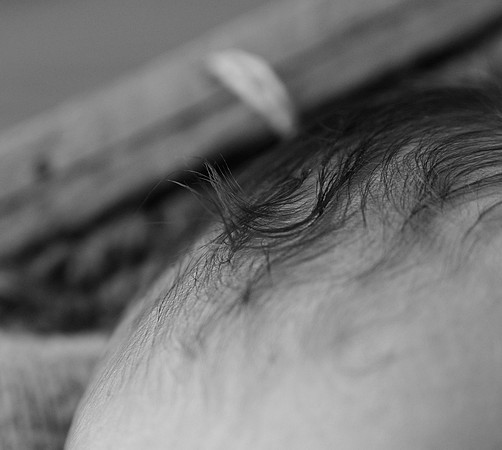 _DSC8329