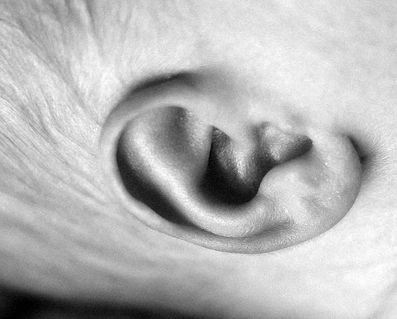 KF1_7543