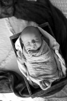 KF1_8282