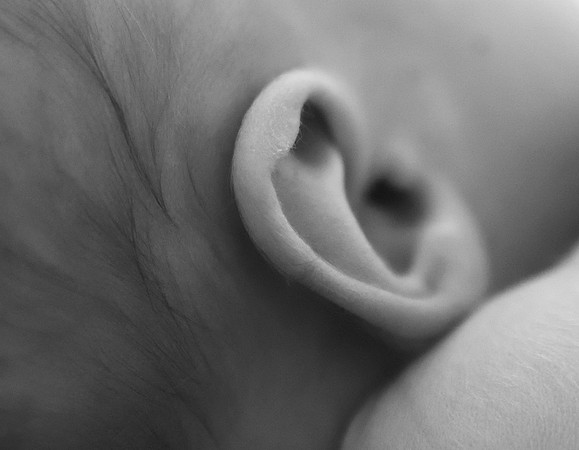DSC_9736
