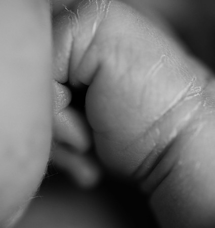 KFP_7833
