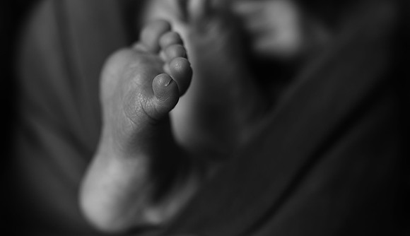 KF3_4798