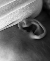KF3_4372