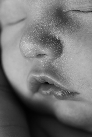 KFP_0417
