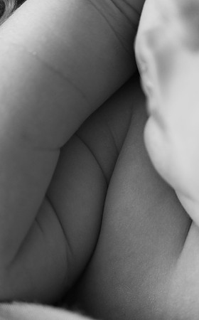 KFP_0425
