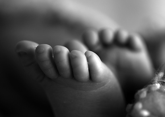 KF1_0965