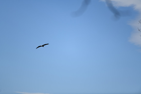 DSC_5953