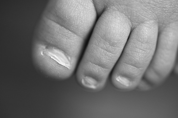 DSC_5988