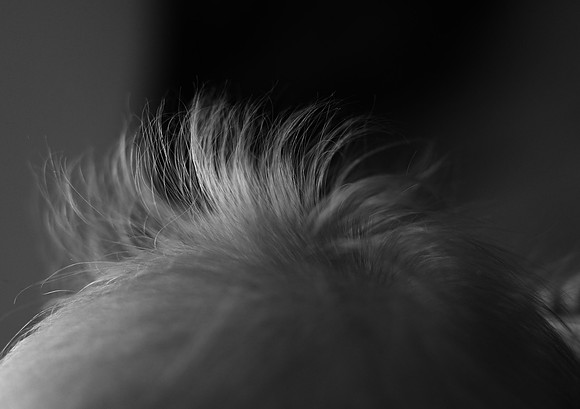 DSC_2636