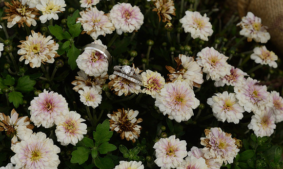 AB2_2979