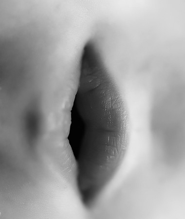 DSC_3342