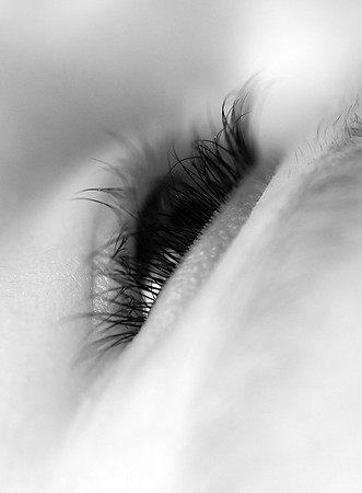 DSC_6534