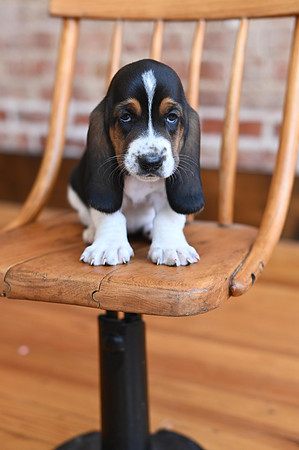 KF1_8872