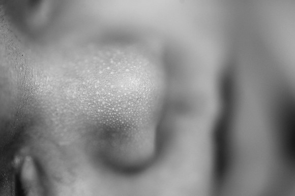 DSC_4629