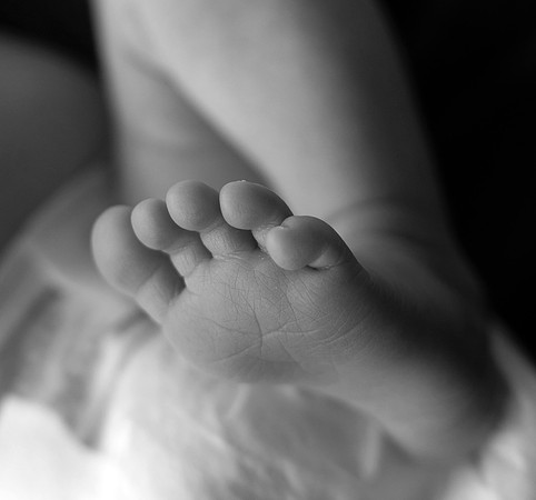 KF1_3817