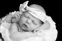 ABC_0101