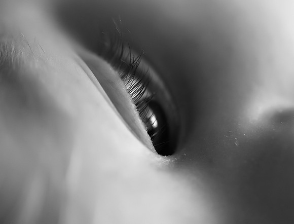DSC_3356