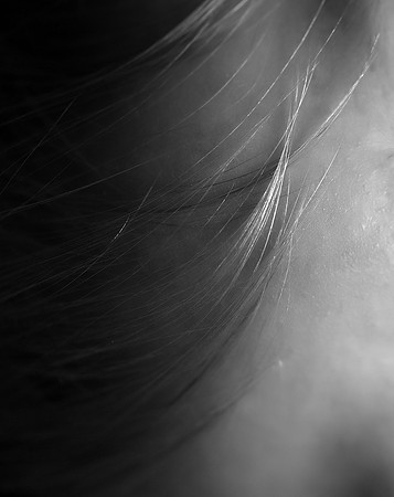 DSC_3346