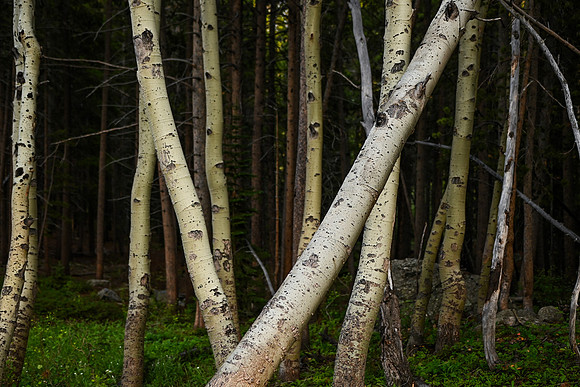 KF1_0251
