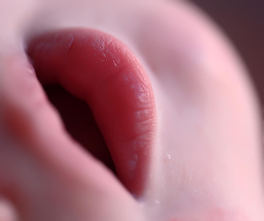 DSC_3365